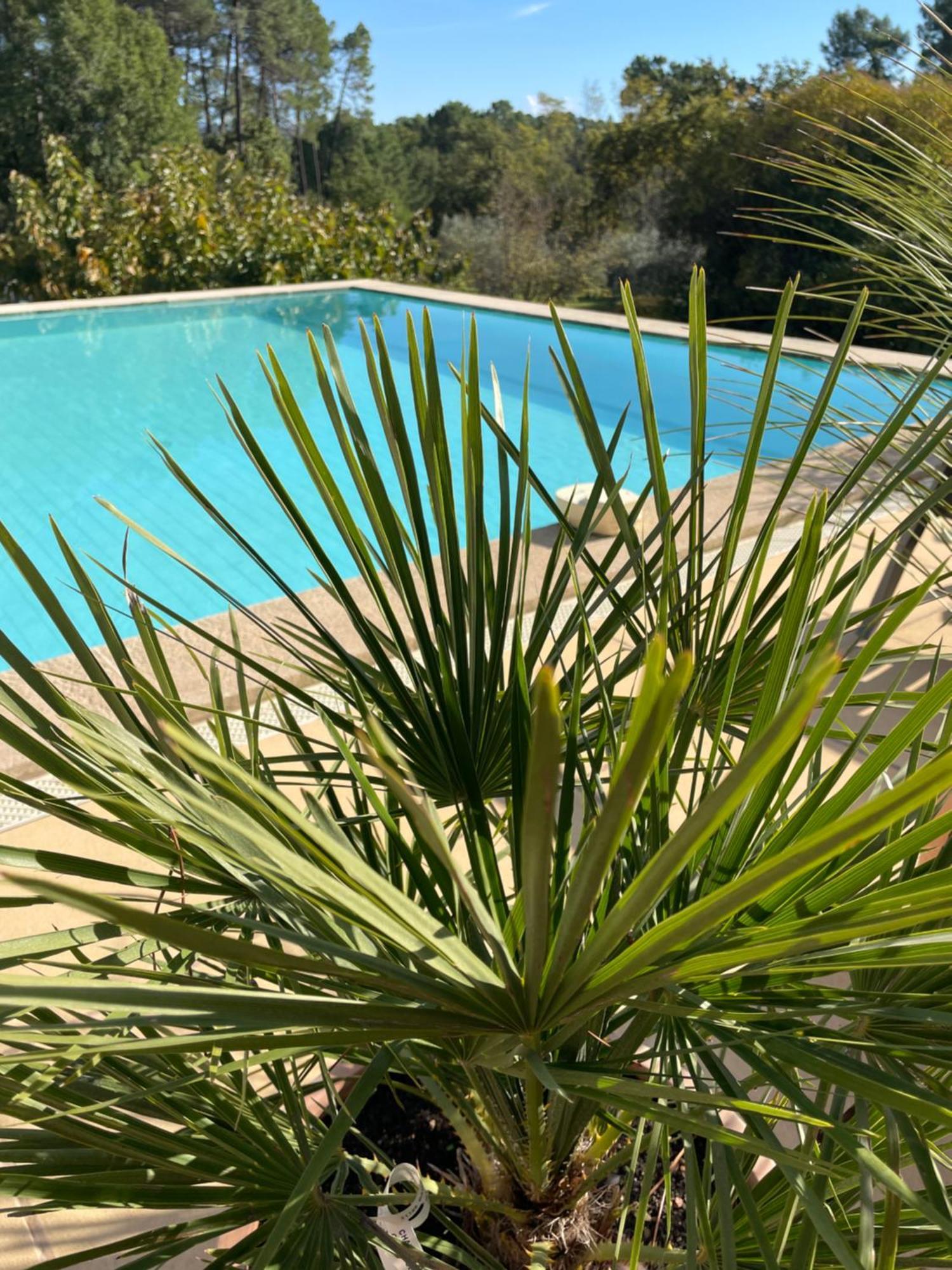 Apartament O Coeur Des Ocres Roussillon en Isere Zewnętrze zdjęcie